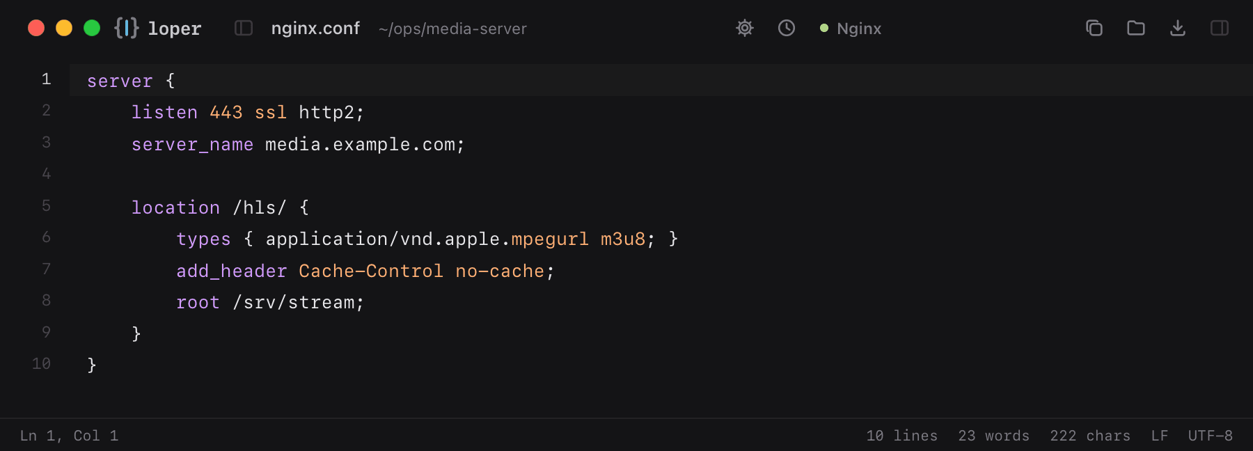 nginx.conf opened in Loper: Nginx config with color-coded Nginx